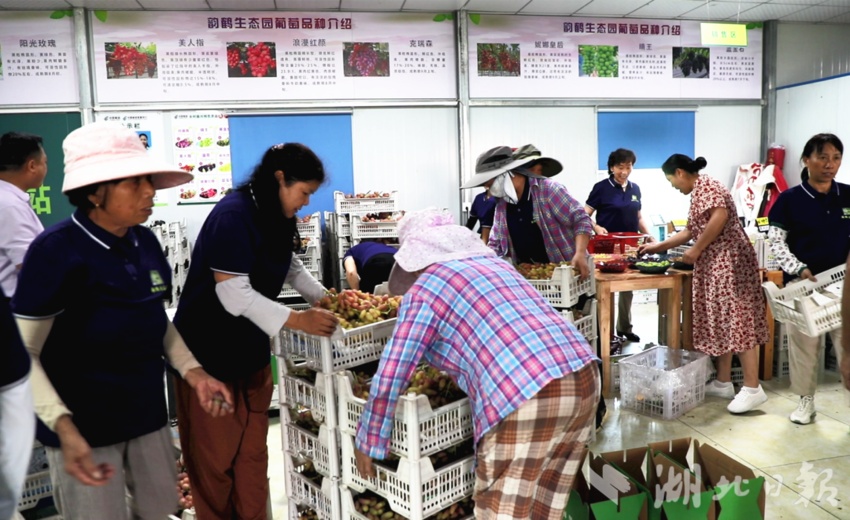 银河开户通官网